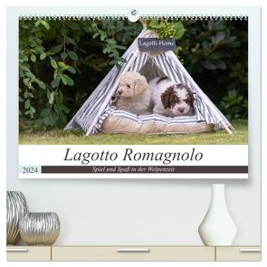 Lagotto Romagnolo – Spiel und Spaß in der Welpenzeit (hochwertiger Premium Wandkalender 2024 DIN A2 quer), Kunstdruck in Hochglanz von Teßen,  Sonja