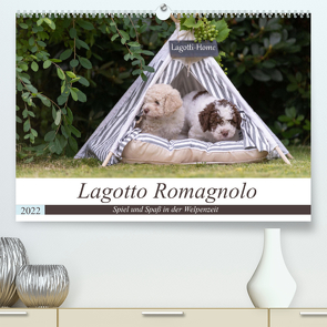 Lagotto Romagnolo – Spiel und Spaß in der Welpenzeit (Premium, hochwertiger DIN A2 Wandkalender 2022, Kunstdruck in Hochglanz) von Teßen,  Sonja