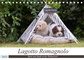 Lagotto Romagnolo – Spiel und Spaß in der Welpenzeit (Tischkalender 2022 DIN A5 quer) von Teßen,  Sonja