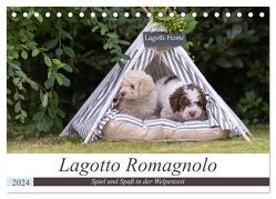 Lagotto Romagnolo – Spiel und Spaß in der Welpenzeit (Tischkalender 2024 DIN A5 quer), CALVENDO Monatskalender von Teßen,  Sonja