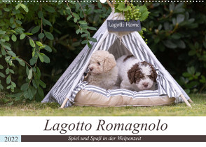 Lagotto Romagnolo – Spiel und Spaß in der Welpenzeit (Wandkalender 2022 DIN A2 quer) von Teßen,  Sonja