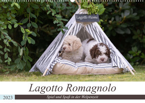 Lagotto Romagnolo – Spiel und Spaß in der Welpenzeit (Wandkalender 2023 DIN A2 quer) von Teßen,  Sonja