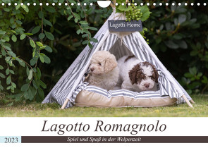 Lagotto Romagnolo – Spiel und Spaß in der Welpenzeit (Wandkalender 2023 DIN A4 quer) von Teßen,  Sonja