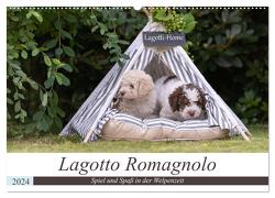 Lagotto Romagnolo – Spiel und Spaß in der Welpenzeit (Wandkalender 2024 DIN A2 quer), CALVENDO Monatskalender von Teßen,  Sonja