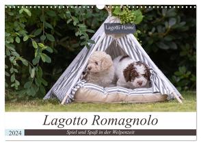 Lagotto Romagnolo – Spiel und Spaß in der Welpenzeit (Wandkalender 2024 DIN A3 quer), CALVENDO Monatskalender von Teßen,  Sonja