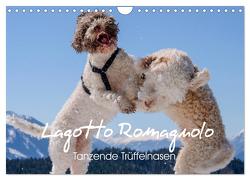 Lagotto Romagnolo Tanzende Trüffelnasen (Wandkalender 2024 DIN A4 quer), CALVENDO Monatskalender von Wuffclick-pic,  Wuffclick-pic