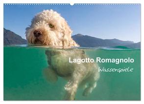 Lagotto Romagnolo – Wasserspiele (Wandkalender 2024 DIN A2 quer), CALVENDO Monatskalender von Wuffclick-pic,  Wuffclick-pic