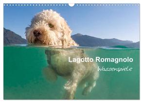 Lagotto Romagnolo – Wasserspiele (Wandkalender 2024 DIN A3 quer), CALVENDO Monatskalender von Wuffclick-pic,  Wuffclick-pic