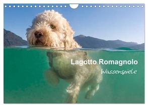 Lagotto Romagnolo – Wasserspiele (Wandkalender 2024 DIN A4 quer), CALVENDO Monatskalender von Wuffclick-pic,  Wuffclick-pic