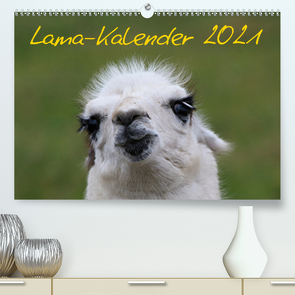 Lama-Kalender 2021 (Premium, hochwertiger DIN A2 Wandkalender 2021, Kunstdruck in Hochglanz) von Witkowski,  Bernd