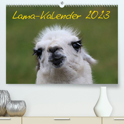 Lama-Kalender 2023 (Premium, hochwertiger DIN A2 Wandkalender 2023, Kunstdruck in Hochglanz) von Witkowski,  Bernd