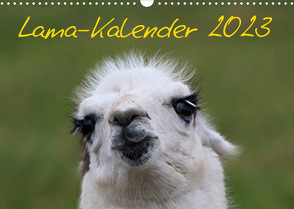 Lama-Kalender 2023 (Wandkalender 2023 DIN A3 quer) von Witkowski,  Bernd