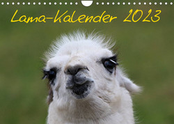 Lama-Kalender 2023 (Wandkalender 2023 DIN A4 quer) von Witkowski,  Bernd