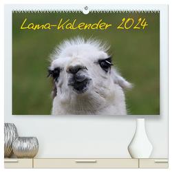 Lama-Kalender 2024 (hochwertiger Premium Wandkalender 2024 DIN A2 quer), Kunstdruck in Hochglanz von Witkowski,  Bernd