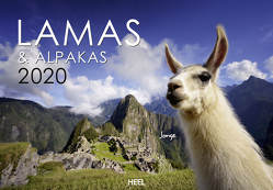 Lamas & Alpakas 2020