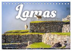 Lamas in Südamerika (Tischkalender 2024 DIN A5 quer), CALVENDO Monatskalender von Monkey,  Happy