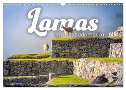 Lamas in Südamerika (Wandkalender 2024 DIN A3 quer), CALVENDO Monatskalender von Monkey,  Happy