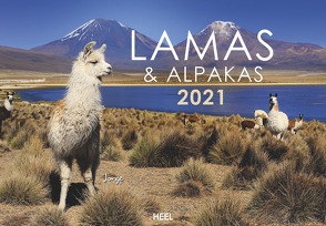Lamas und Alpakas 2021