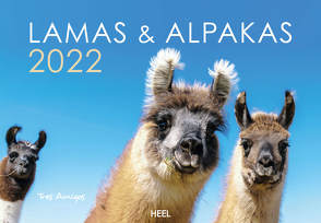 Lamas und Alpakas 2022
