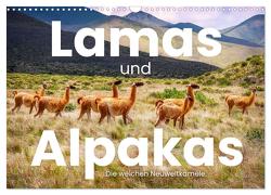 Lamas und Alpakas – Die weichen Neuweltkamele. (Wandkalender 2024 DIN A3 quer), CALVENDO Monatskalender von SF,  SF