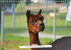 Lamas und Alpakas – südamerikanische Schönheiten (Wandkalender 2024 DIN A4 quer) von Meisenzahl,  Jessica