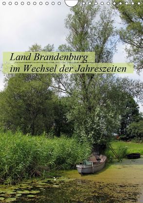 Land Brandenburg im Wechsel der Jahreszeiten (Wandkalender 2019 DIN A4 hoch) von Frost,  Anja