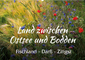Land zwischen Ostsee und Bodden, Fischland – Darß – Zingst (Wandkalender 2023 DIN A2 quer) von Reichenauer,  Maria