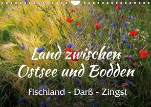 Land zwischen Ostsee und Bodden, Fischland – Darß – Zingst (Wandkalender 2023 DIN A4 quer) von Reichenauer,  Maria
