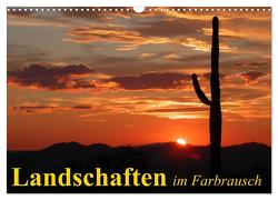 Landschaften im Farbrausch (Wandkalender 2024 DIN A3 quer), CALVENDO Monatskalender von Stanzer,  Elisabeth