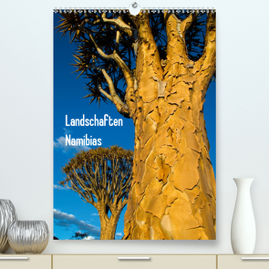 Landschaften Namibias (Premium, hochwertiger DIN A2 Wandkalender 2020, Kunstdruck in Hochglanz) von Scholz,  Frauke