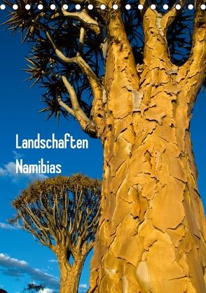 Landschaften Namibias (Tischkalender 2018 DIN A5 hoch) von Scholz,  Frauke