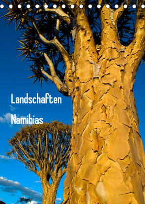Landschaften Namibias (Tischkalender 2023 DIN A5 hoch) von Scholz,  Frauke