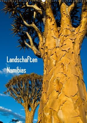 Landschaften Namibias (Wandkalender 2018 DIN A2 hoch) von Scholz,  Frauke