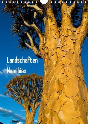 Landschaften Namibias (Wandkalender 2018 DIN A4 hoch) von Scholz,  Frauke