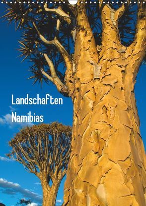 Landschaften Namibias (Wandkalender 2019 DIN A3 hoch) von Scholz,  Frauke