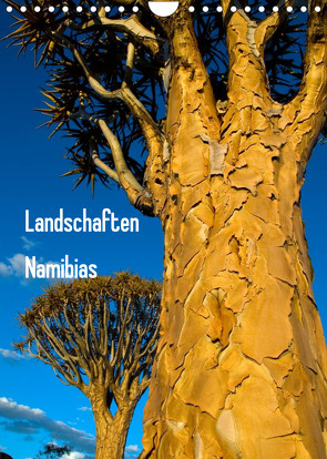Landschaften Namibias (Wandkalender 2022 DIN A4 hoch) von Scholz,  Frauke