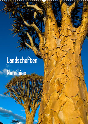 Landschaften Namibias (Wandkalender 2023 DIN A2 hoch) von Scholz,  Frauke