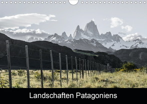 Landschaften PatagoniensAT-Version (Wandkalender 2020 DIN A4 quer) von Brunner,  Stefan