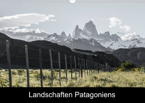 Landschaften PatagoniensAT-Version (Wandkalender 2022 DIN A3 quer) von Brunner,  Stefan
