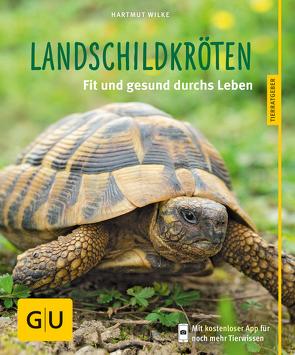 Landschildkröten von Wilke,  Hartmut