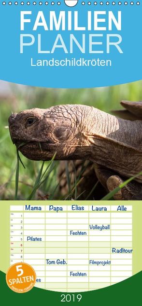 Landschildkröten – Familienplaner hoch (Wandkalender 2019 , 21 cm x 45 cm, hoch) von Sixt,  Marion