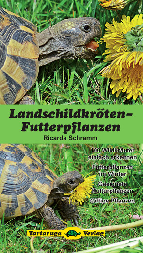 Landschildkröten-Futterpflanzen von Schramm,  Ricarda