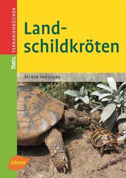 Landschildkröten von Praschag,  Reiner