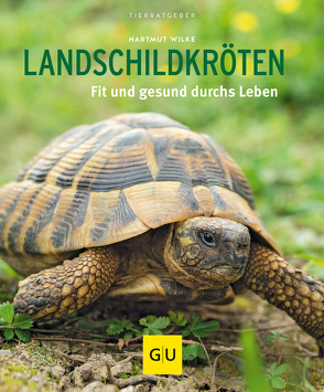 Landschildkröten von Wilke,  Hartmut