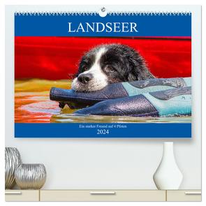 Landseer – Ein starker Freund auf 4 Pfoten (hochwertiger Premium Wandkalender 2024 DIN A2 quer), Kunstdruck in Hochglanz von Starick,  Sigrid