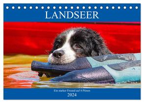 Landseer – Ein starker Freund auf 4 Pfoten (Tischkalender 2024 DIN A5 quer), CALVENDO Monatskalender von Starick,  Sigrid