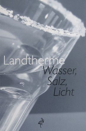 Landtherme, Wasser, Salz, Licht von Schachner,  Norbert