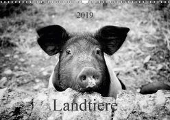 Landtiere (Wandkalender 2019 DIN A3 quer) von Dietz,  Peter