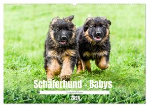 Langstockhaar – Schäferhund – Babys (Wandkalender 2024 DIN A2 quer), CALVENDO Monatskalender von K. Fotografie,  Jana