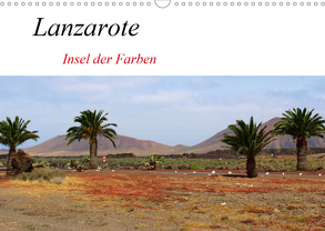 Lanzarote – Insel der Farben (Wandkalender 2020 DIN A3 quer) von helia